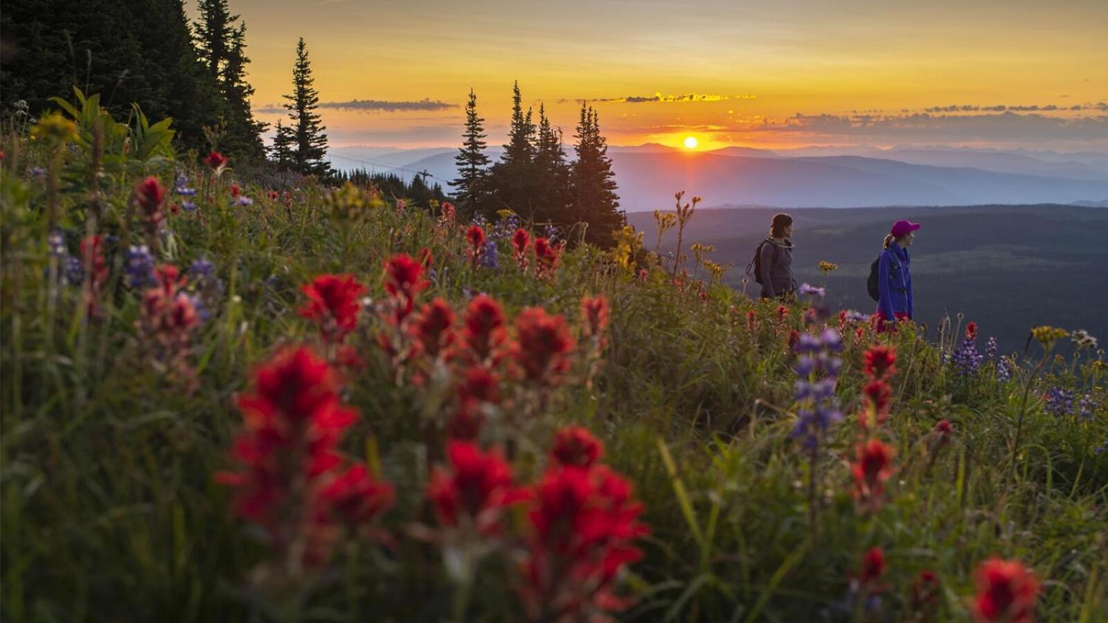 Soleil Chalet By Bear Country Sun Peaks Værelse billede