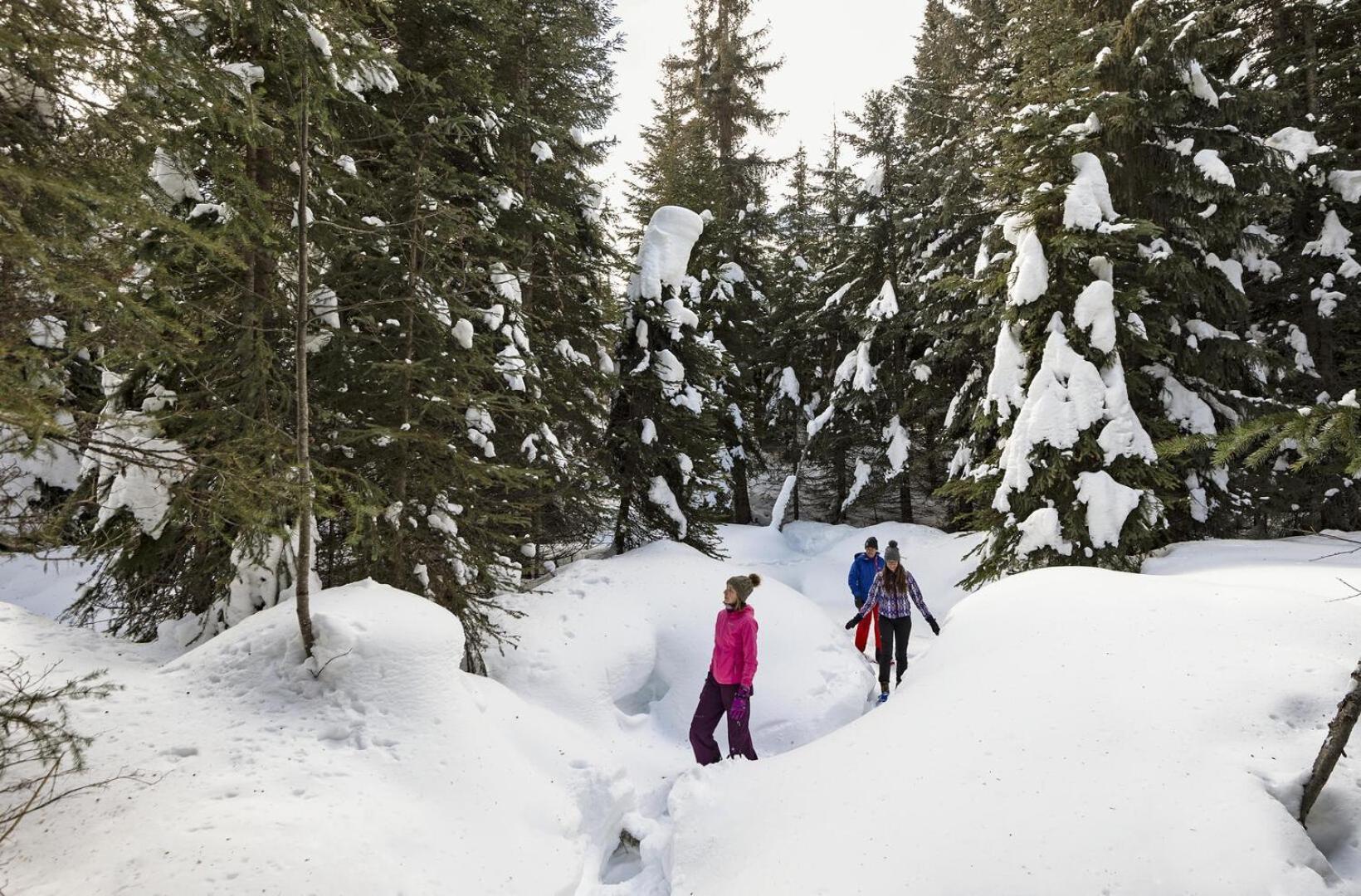 Soleil Chalet By Bear Country Sun Peaks Værelse billede